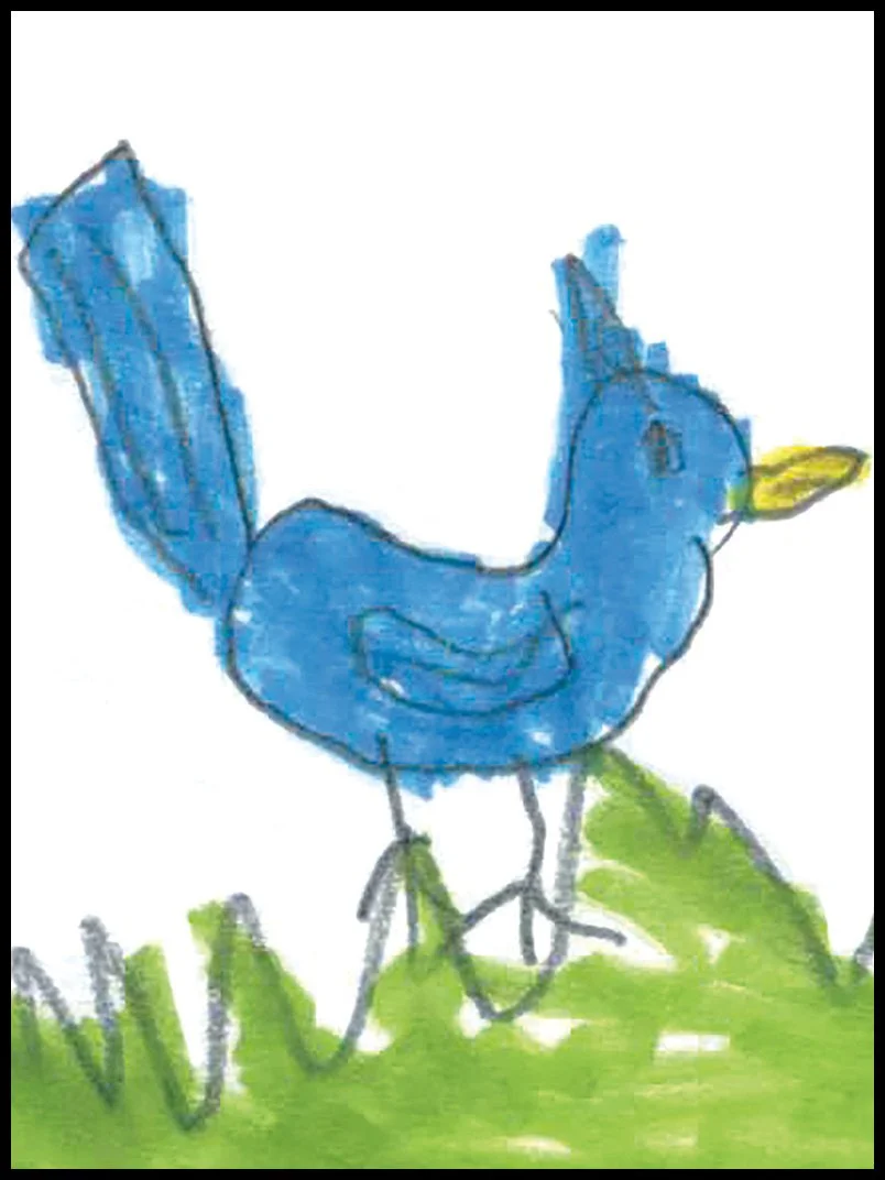 Brian the Bluejay
