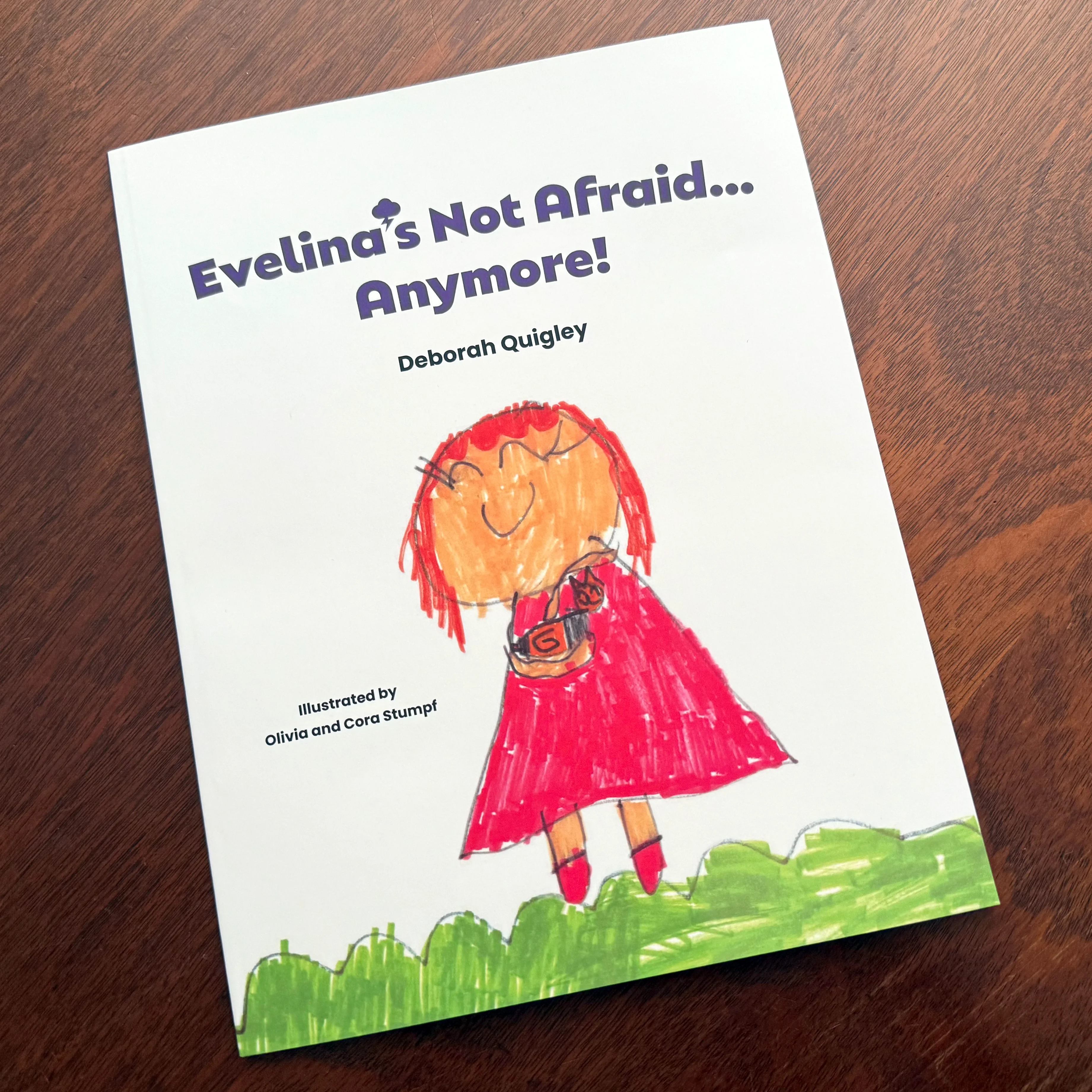 Evelina's Not Afraid Anymore book cover